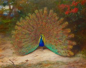 Pavão e borboleta pavão de Archibald Thorburn