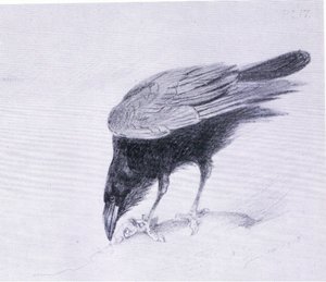 Raven, pub. por Book Club Associates de Archibald Thorburn