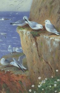 Gaivotas de Archibald Thorburn