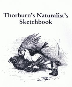 Página de título (Stoat and Gamebird), pub. por Book Club Associates de Archibald Thorburn