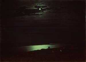 Noite enluarada no rio Dniepr, 1880