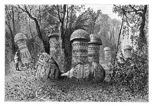 Ruínas de um templo de Ahom, Dinajpur, Upper Assam, Índia, 1895.