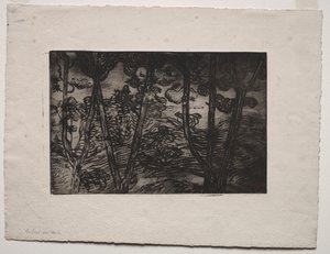 Árvores à noite, c. 1894