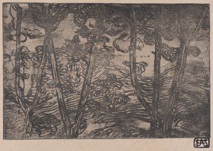 Árvores à noite, ca. 1894.