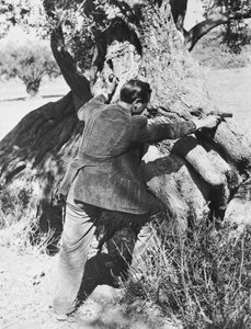 Salvatore Giuliano apontando para pistola, 1937