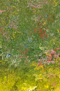 Prado de flores