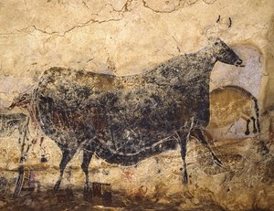 Vaca Negra. Pintura rupestre de Lascaux, ca 16.000-15.000 aC. de Art of the Upper Paleolithic.