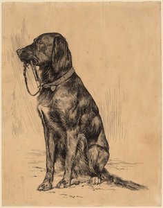 O cachorro de Aldrich de Arthur B. Davies