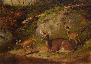 Corça e duas jovens corças, 1882.