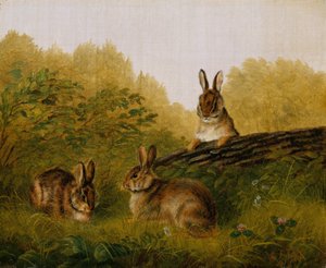 Coelhos em um tronco, 1897.