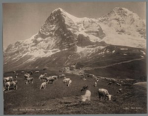 Vacas no Kleine Scheidegg no Bernese Oberland, ao fundo o Eiger e o Mönch Kleine Scheidegg, Eiger und Moench (título no objeto) de Arthur Gabler