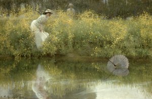 Parasol Perdido