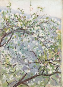 Flor, c.1900