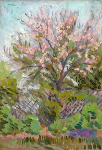 Flor de cerejeira com cerca de treliça abaixo de Arthur Haythorne Studd