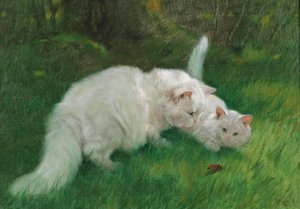 Arthur Heyer Descoberta interessante em 1923 de Arthur Heyer