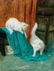 Gatos a brincar de Arthur Heyer