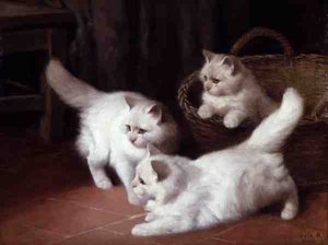 Três gatinhos angorá brancos (óleo sobre tela)