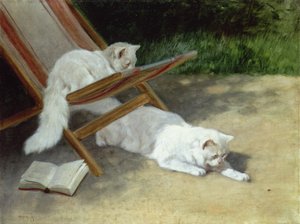 Dois gatos persas brancos com uma joaninha perto de uma espreguiçadeira