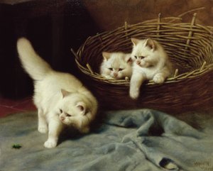 Gatinhos angorá brancos com um besouro, 1929