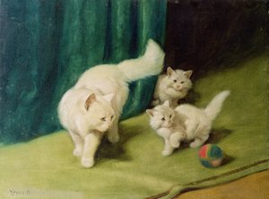 Gato persa branco com dois gatinhos