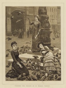 Alimentando os pombos de São Marcos, Veneza de Arthur Hopkins