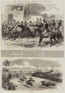 O Steeplechase de Cambridgeshire, Cottenham