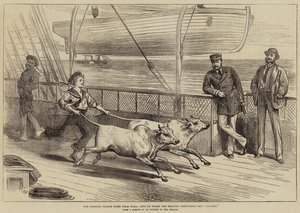 Viagem do Príncipe à Índia, Vida a bordo do Serapis, exercitando os Gainees