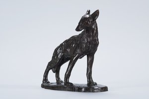 Alerta Coyote (bronze)