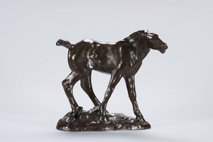 Colt (bronze)