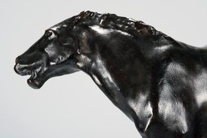 Colt (bronze)