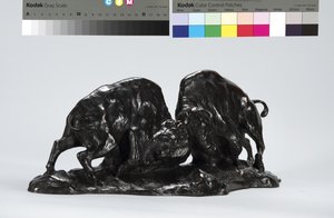 Two Fighting Buffalo de Arthur Putnam