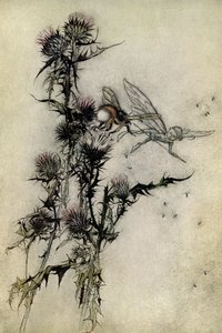 Sonho de uma noite de verão de Arthur Rackham