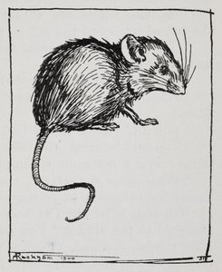 Um rato de Arthur Rackham