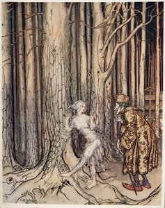 Pássaro de Fitchers, do irmão pequeno & da irmã mais nova e dos outros contos pelos irmãos Grimm, pub.1917 de Arthur Rackham
