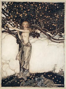 Floresta. de Arthur Rackham