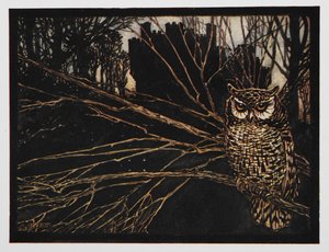 Ilustração de Jorinda e Joringel de uma coruja gritante. de Arthur Rackham