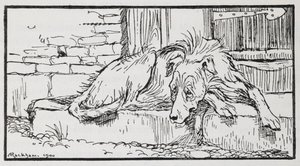 Ilustração do velho Sultão de um cão. de Arthur Rackham