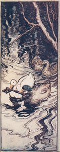 Os Patos, que ele salvara uma vez, mergulharam e trouxeram a chave das profundezas de Os contos de fada dos irmãos Grimm, pub. 1909 de Arthur Rackham