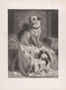 Cão sobre capote de eremina num trono
Geordie senta-se na cadeira Charlies (título sobre o objecto) de Arthur Turrell