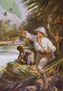 Lindas Borboletas: Um coleccionador a trabalhar na Nova Guiné (cor litho)