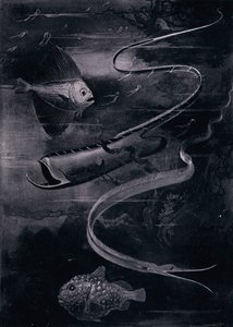 Peixes de águas profundas (litho) de Arthur Twidle