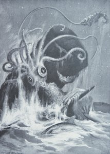 Os Cachalotes Kraken vs. Cachalote