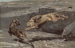 Um ataque noturno (cromolitho) de Arthur Wardle