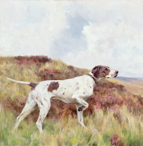Um ponteiro (óleo a bordo) de Arthur Wardle