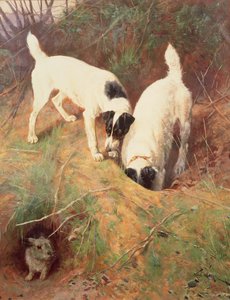 Alguém em casa? de Arthur Wardle