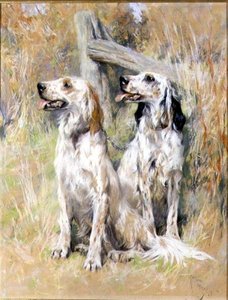 Setters ingleses por um estilo de Arthur Wardle