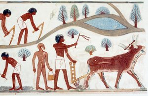 Arte egípcia: cena de lavoura. Fac-símile de quedas de Nakht, período de Amenófis II (ca. 1450-1425) de Artist Unknown