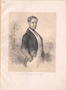 Imperador do Brasil Pedro II de Artist Unknown