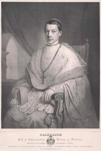 Frederick count Schwarzenberg-Krumau de Artist Unknown