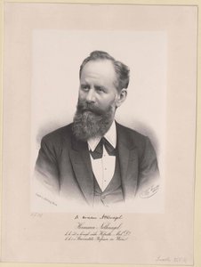 Hermann Nothnagel (impressão) de Artist Unknown